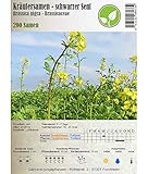 Semi di erbe - Senape nera - Brassica nigra/Sinapis nigra - Brassicaceae 200 Semi