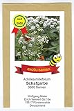 Gemeine Schafgarbe - Achillea millefolium - Bienenweide - Zier- und Arzneipflanze - 3000 Samen