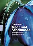 Mohn und Scheinmohn: Papaver, Meconopsis und andere Papaveraceae (Pflanzen-Monographien)