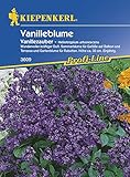 Kiepenkerl 3609 Vanilleblume Vanillezauber (Vanilleblumensamen)